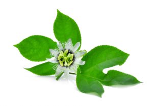 how passion flower can help with fluid iq